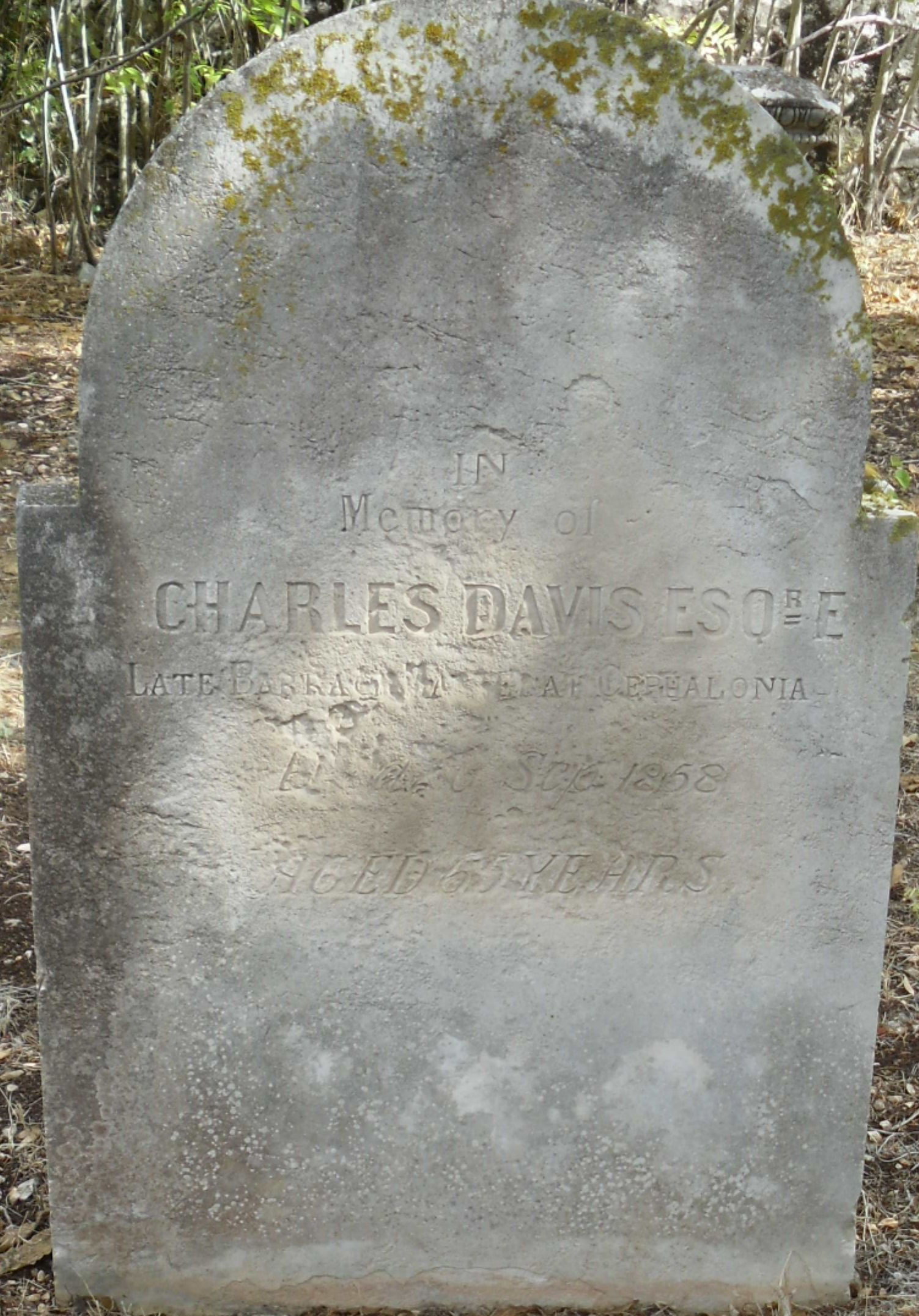 Charles Davis